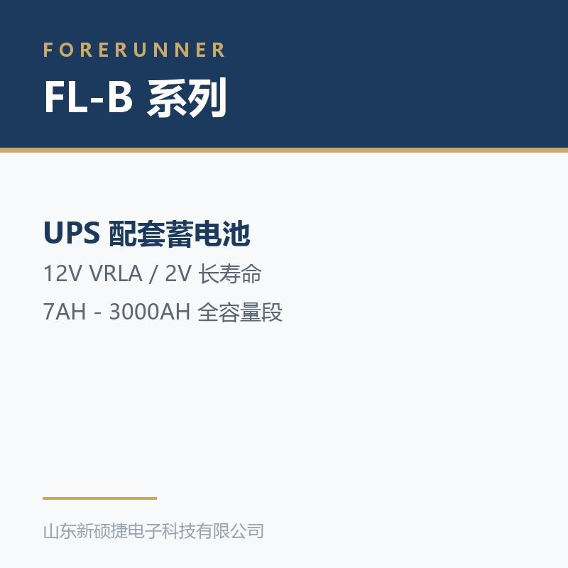 FL-B 系列 12V 阀控式铅酸蓄电池（淄博桓台县UPS电源）