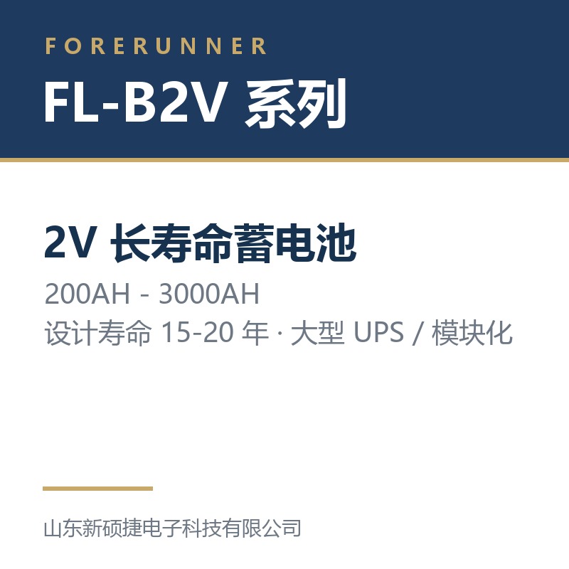 FL-B2V 系列 2V 长寿命蓄电池（淄博桓台县UPS电源）